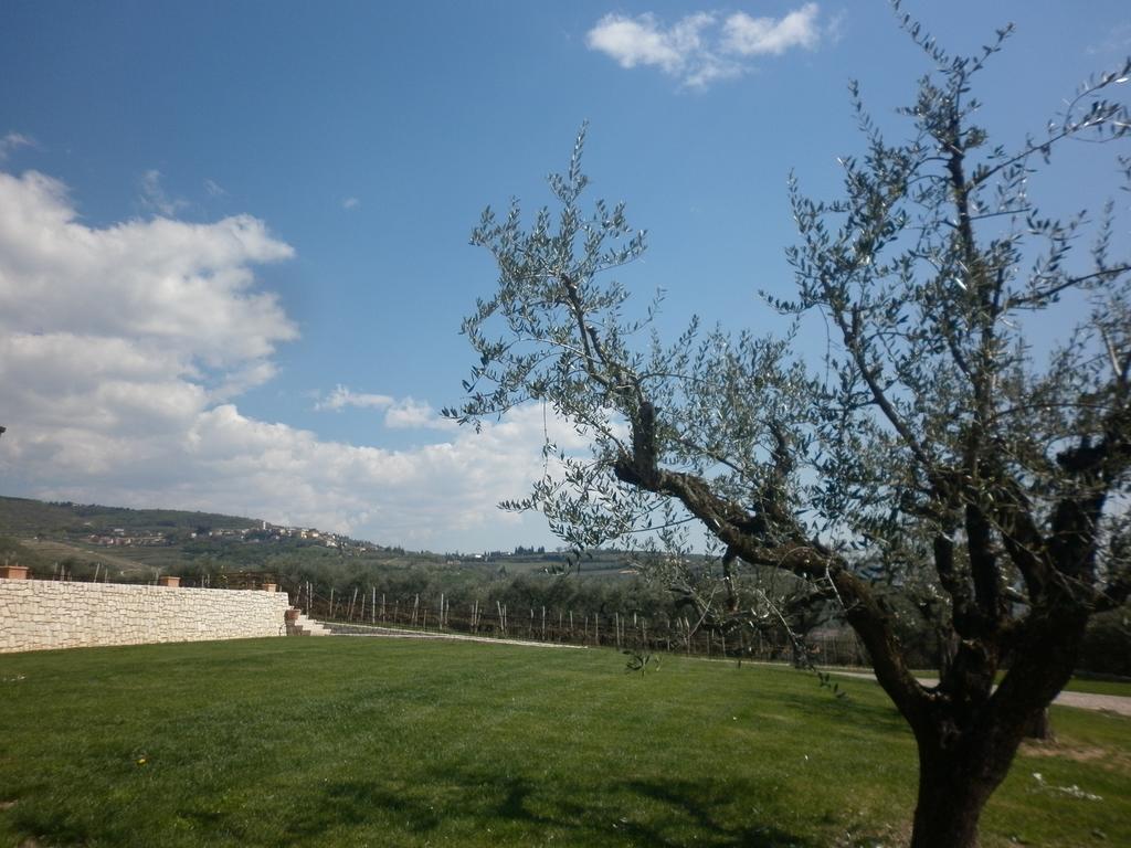 La Piccola Mimosa Apartment SantʼAmbrogio di Valpolicella Екстериор снимка