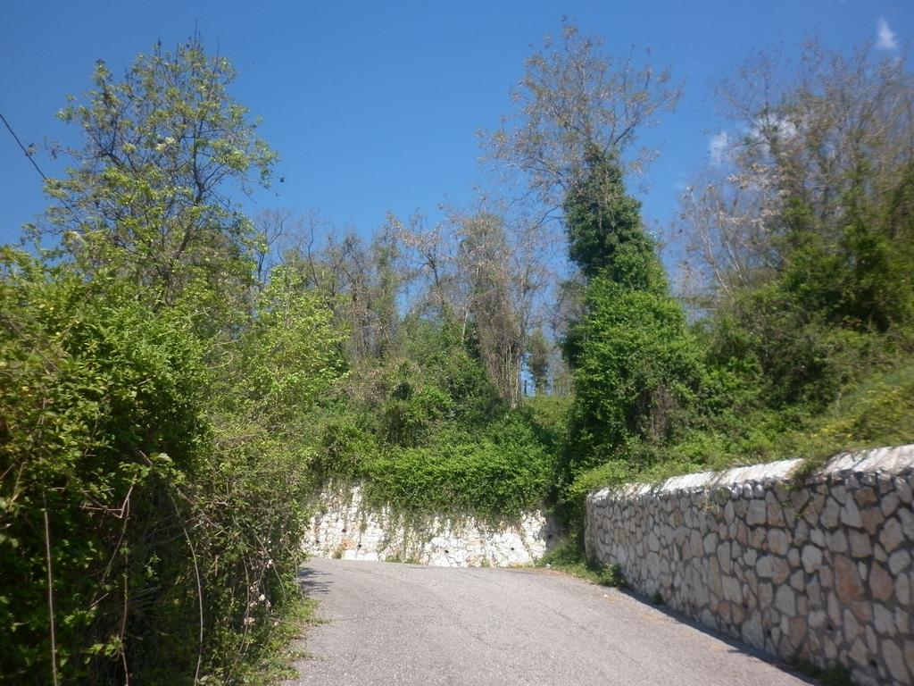 La Piccola Mimosa Apartment SantʼAmbrogio di Valpolicella Екстериор снимка